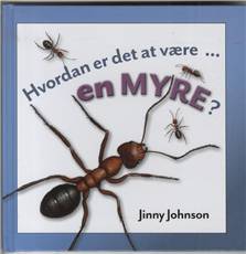 Hvordan er det at være - en myre?