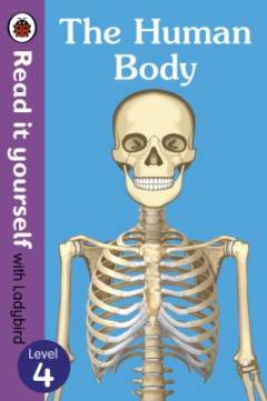 The human body