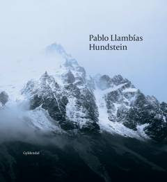 Hundstein