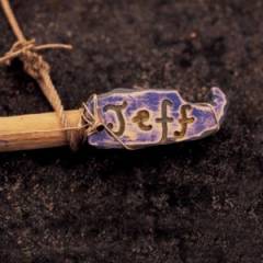 Jeff