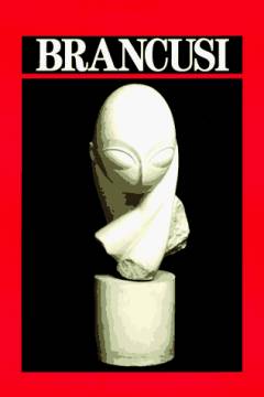 Brancusi : the sculpture and drawings