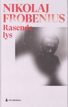 Rasende lys : en roman om Henry Rinnans framgang : basert på virkelige hendelser