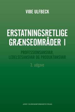Erstatningsretlige grænseområder. Bind 1 : Professionsansvar, ledelsesansvar og produktansvar