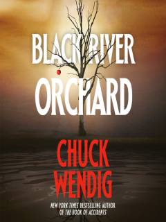 Black river orchard : a novel