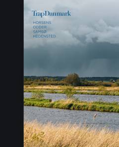 Trap Danmark. Bind 13 : Horsens, Odder, Samsø, Hedensted