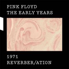 The early years 1971 reverber/ation