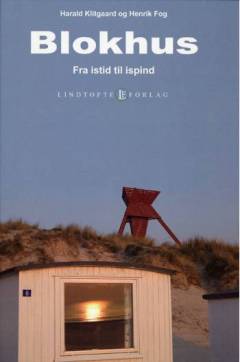 Blokhus : fra istid til ispind