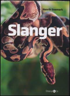 Slanger