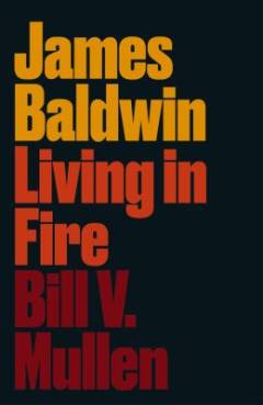 James Baldwin : living in fire