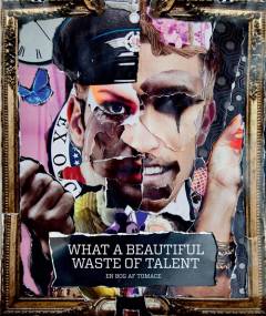What a beautiful waste of talent : en bog