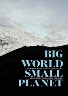 Big world, small planet : abundance within planetary boundaries