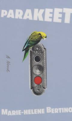 Parakeet