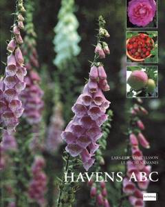 Havens ABC
