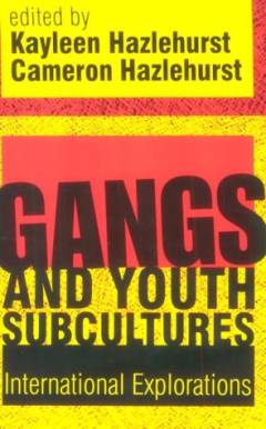 Gangs and youth subcultures : international explorations