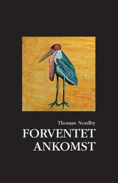 Forventet ankomst : trekantede fortællinger