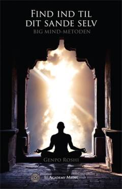 Find ind til dit sande selv : big mind-metoden