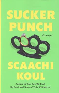 Sucker punch : essays
