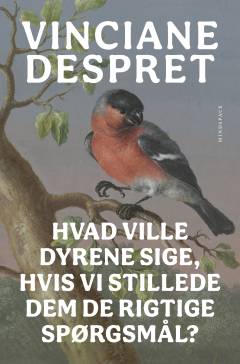Hvad ville dyrene sige, hvis vi stillede dem de rigtige spørgsmål?