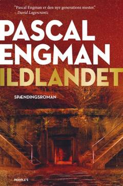 Ildlandet : spændingsroman
