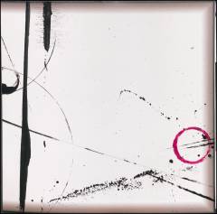Meridiana - lines toward a non-local alchemy