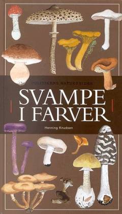 Svampe i farver