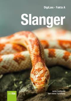 Slanger