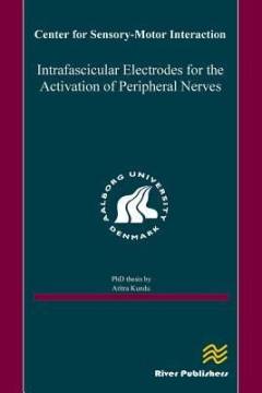 Intrafascicular electrodes for the activation of peripheral nerves : PhD thesis