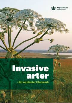 Invasive arter : dyr og planter i Danmark