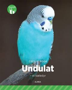 Undulat : et kæledyr