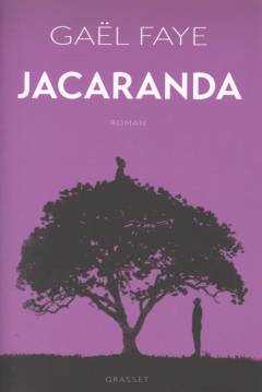 Jacaranda