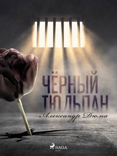 Chyornyj tyulpan