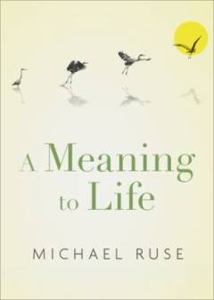 A meaning to life
