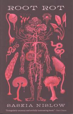 Root rot