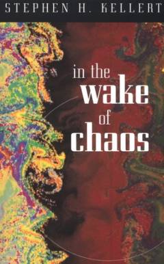 In the wake of chaos : unpredictable order in dynamical systems