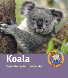 Koala