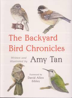 The backyard bird chronicles
