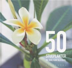 50 stueplanter du ikke kan slå ihjel