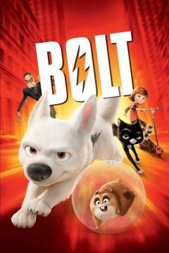 Film (dvd), 2009