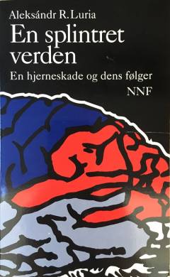 En splintret verden : en hjerneskade og dens følger