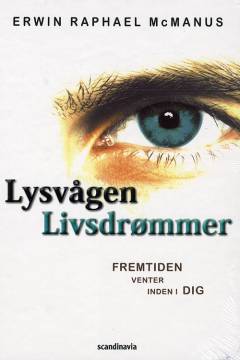 Den politiske udfordring