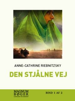 Den stjålne vej. Bind 1 (Stor skrift)