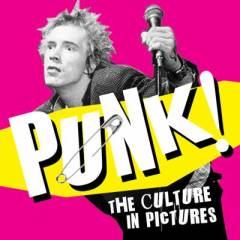 Punk : the culture in pictures
