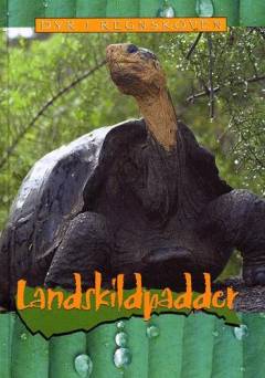 Landskildpadder