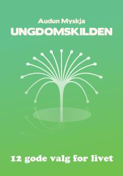 Ungdomskilden : 12 gode valg for livet