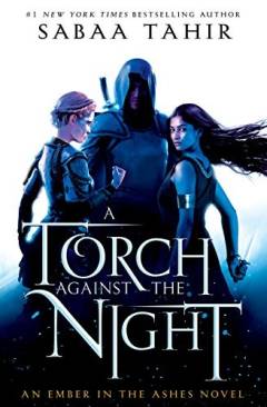 A torch against the night