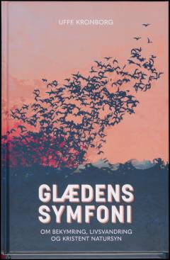 Glædens symfoni : om bekymring, livsvandring og kristent natursyn
