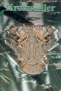 Bog, 1. udgave, 1999