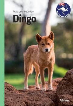 Dingo