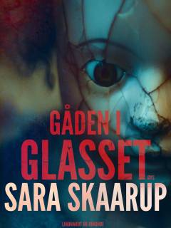 Gåden i glasset : 13 gyserfortællinger