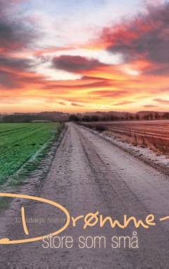 Drømme - store som små : 12 udvalgte noveller